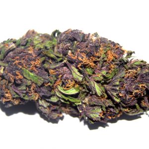 Buy Purple Haze Kush
